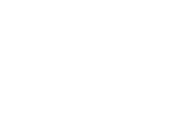 Rhino Windmill logo